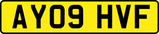 AY09HVF