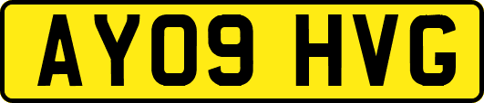 AY09HVG