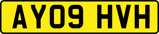 AY09HVH