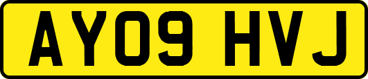 AY09HVJ