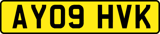AY09HVK