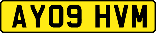 AY09HVM