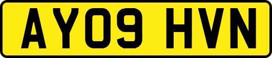 AY09HVN