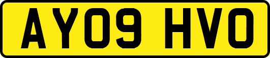 AY09HVO