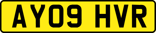 AY09HVR