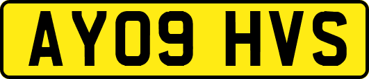 AY09HVS