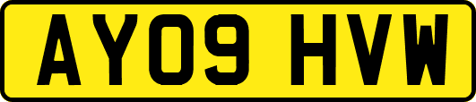 AY09HVW