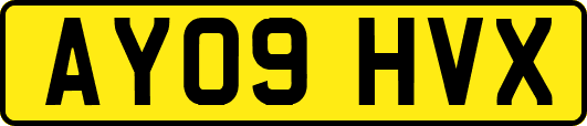 AY09HVX