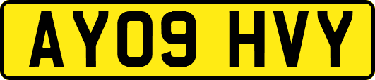 AY09HVY