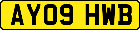 AY09HWB