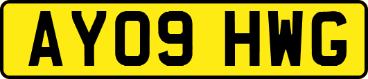 AY09HWG