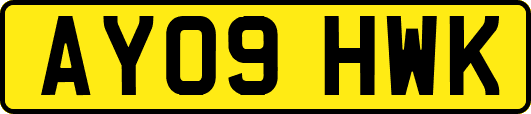 AY09HWK