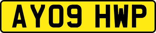 AY09HWP