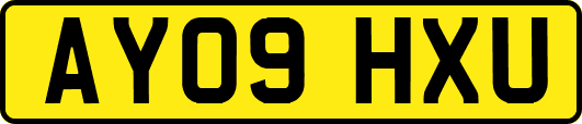 AY09HXU