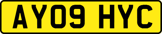 AY09HYC