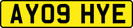 AY09HYE