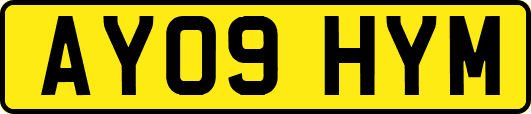 AY09HYM