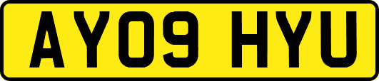 AY09HYU