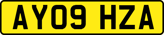 AY09HZA