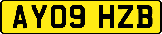 AY09HZB