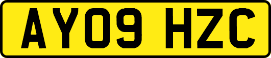 AY09HZC