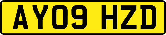 AY09HZD