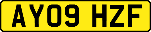 AY09HZF