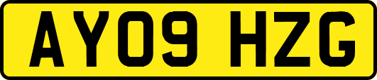 AY09HZG