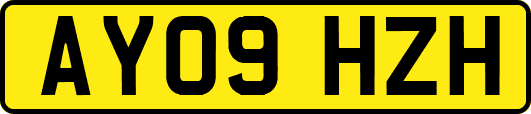 AY09HZH