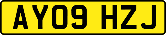 AY09HZJ