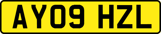 AY09HZL