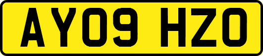 AY09HZO