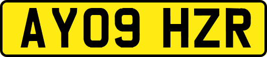 AY09HZR