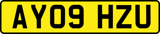 AY09HZU
