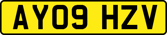 AY09HZV