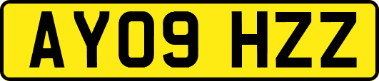 AY09HZZ
