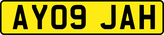 AY09JAH
