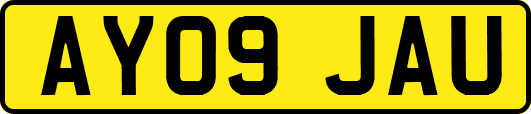 AY09JAU