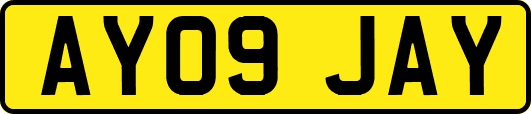 AY09JAY
