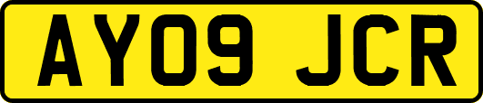 AY09JCR