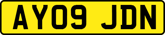AY09JDN