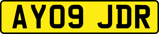 AY09JDR