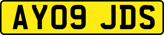 AY09JDS