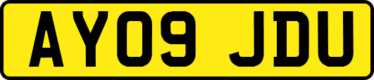 AY09JDU