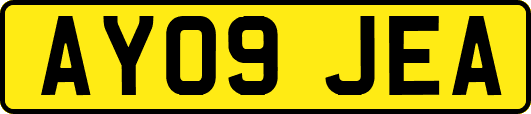 AY09JEA