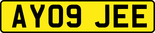 AY09JEE