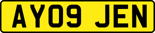 AY09JEN