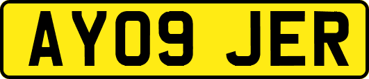AY09JER
