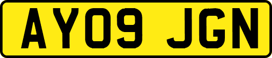 AY09JGN