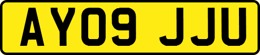 AY09JJU